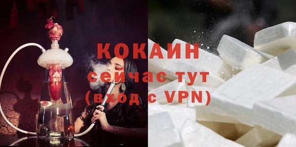мдпв Богородицк