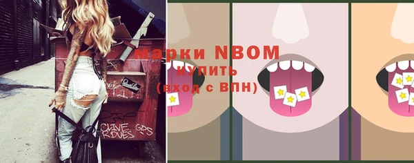 мдпв Богородицк