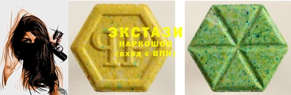 мдпв Богородицк