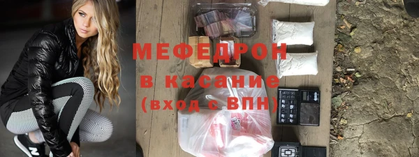 мдпв Богородицк
